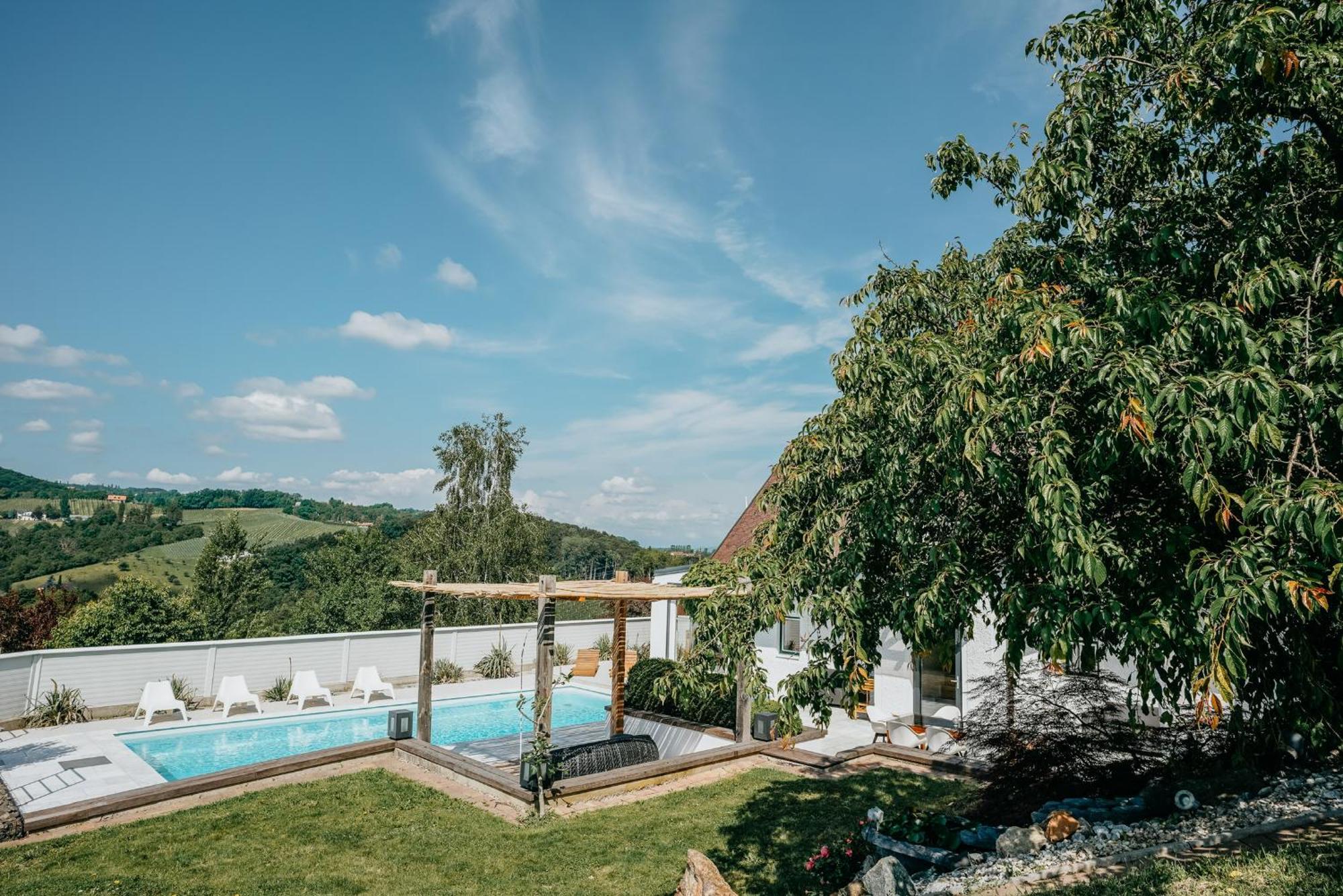 Weingut Holler Chalet Weingarten Spielfeld Kültér fotó