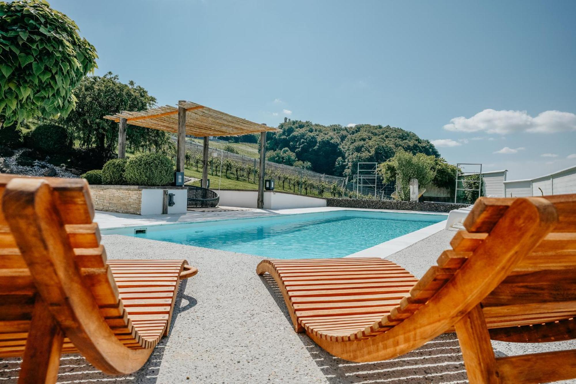 Weingut Holler Chalet Weingarten Spielfeld Kültér fotó